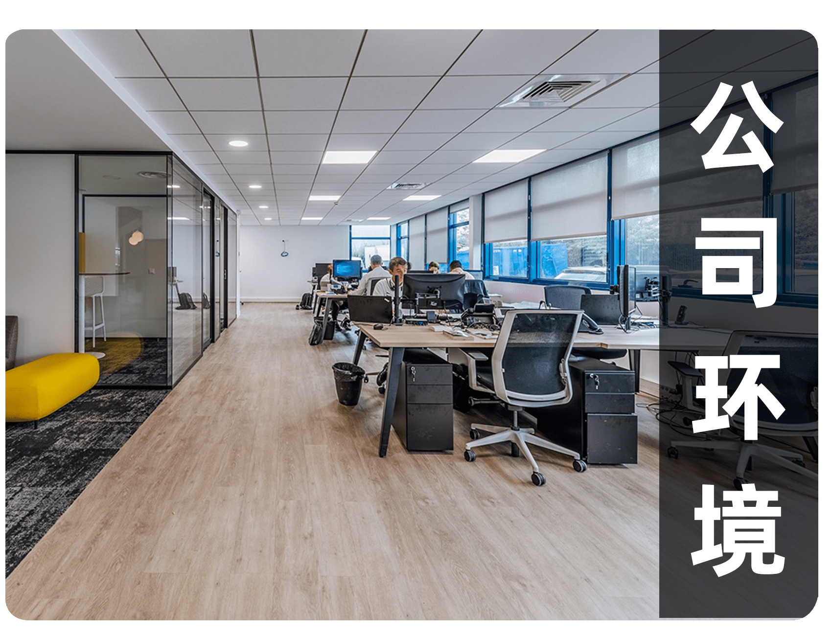 公司环境