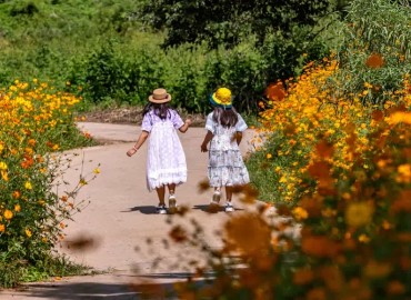 【案例分析】儿子加入毛骨悚然的“约死群”后疯狂自残，醒悟后我终于明白，原来我们才