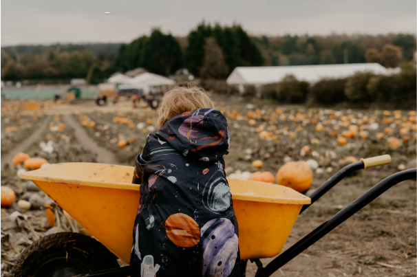 孩子总是三分钟热度爱打退堂鼓？一个妙招让孩子自觉！